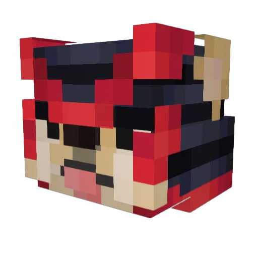 WYXCTHT Minecraft avatar head, 3D render