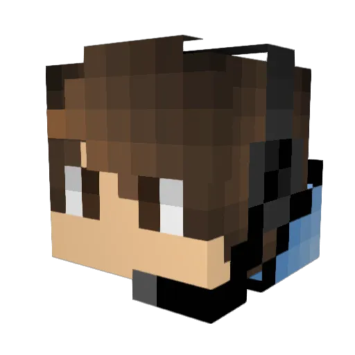 WYmine25 Minecraft avatar head, 3D render