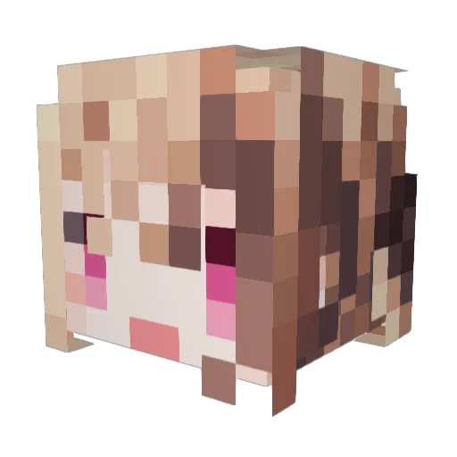 WZWLD Minecraft avatar head, 3D render