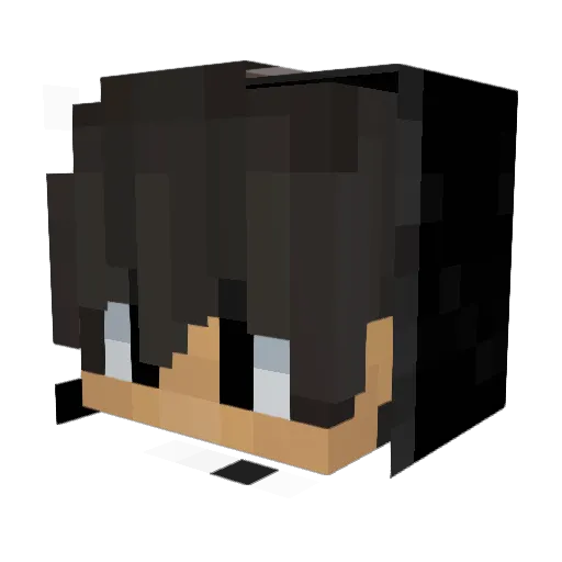 W_E_G_A Minecraft avatar head, 3D render