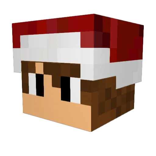 W_Jonah Minecraft avatar head, 3D render