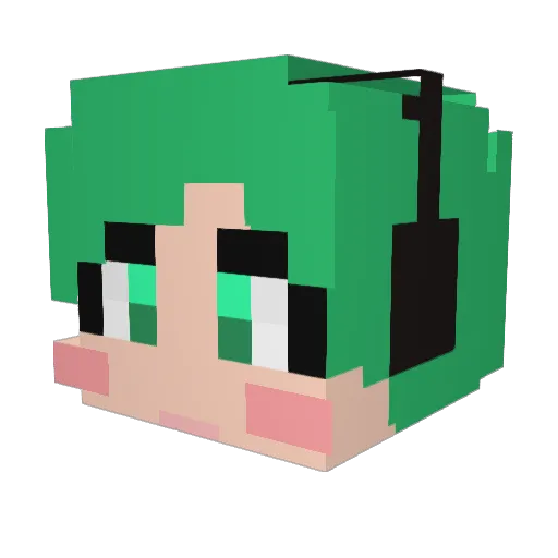 W_O_N_09 Minecraft avatar head, 3D render