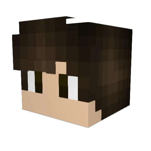 W_UloN_W Minecraft avatar head, 3D render