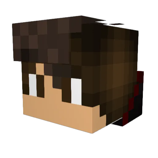 W_gon Minecraft avatar head, 3D render