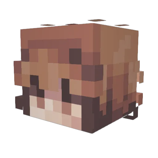 W_spAre Minecraft avatar head, 3D render