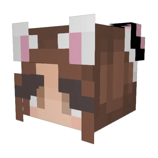 Wa11Z Minecraft avatar head, 3D render