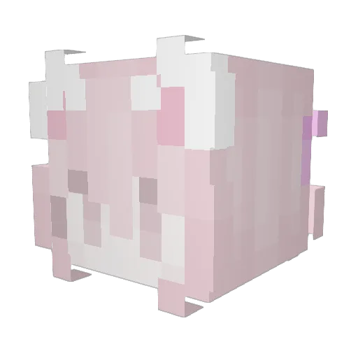 Wa1T_24 Minecraft avatar head, 3D render