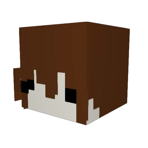 WaFFle_127 Minecraft avatar head, 3D render