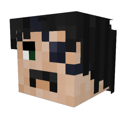 WaRRoX21 Minecraft avatar head, 3D render