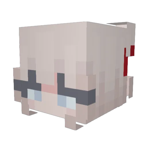 WaRniC Minecraft avatar head, 3D render