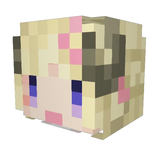 WaTaMeDaisuki Minecraft avatar head, 3D render