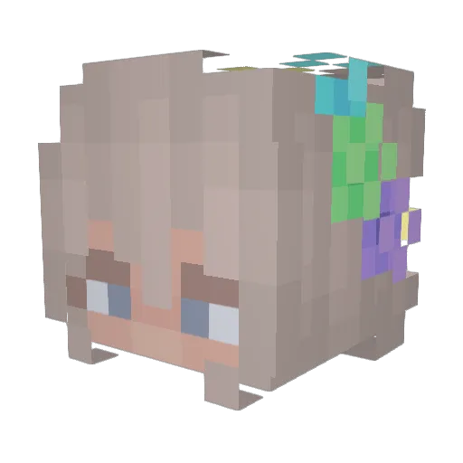 WaTeR_0_0 Minecraft avatar head, 3D render