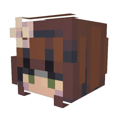Wa_pie Minecraft avatar head, 3D render