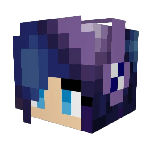 Wa_rak Minecraft avatar head, 3D render