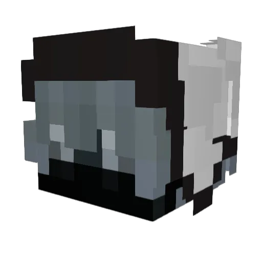 Waalschreck Minecraft avatar head, 3D render