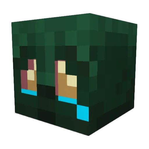WaaromRoy Minecraft avatar head, 3D render