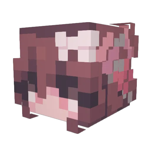 WaaterMeelone Minecraft avatar head, 3D render