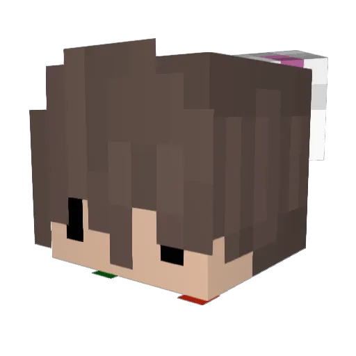 Wabb_it Minecraft avatar head, 3D render