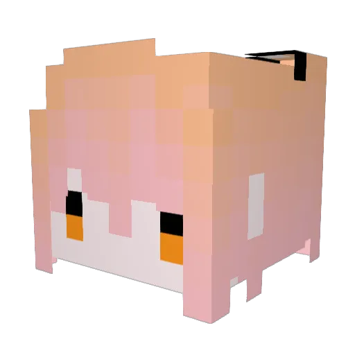 Wabbie1206 Minecraft avatar head, 3D render