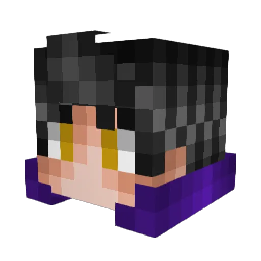 WabbitDinner Minecraft avatar head, 3D render
