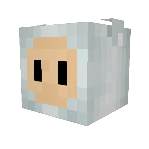 Wabbstarful Minecraft avatar head, 3D render