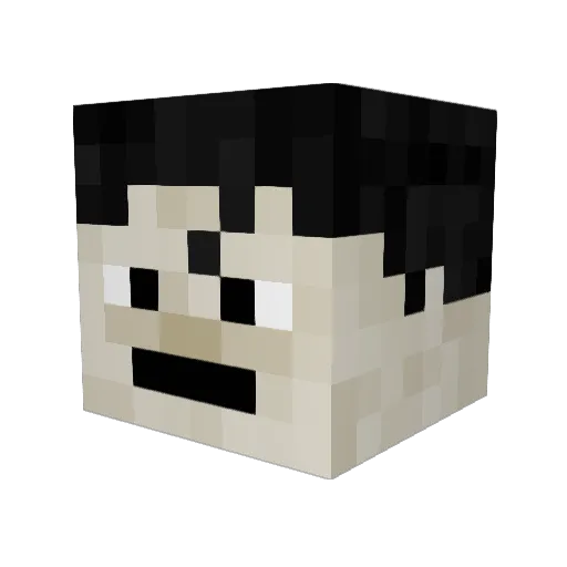 Wackadoo2021 Minecraft avatar head, 3D render
