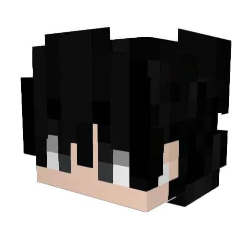 WackinPlayzzz Minecraft avatar head, 3D render