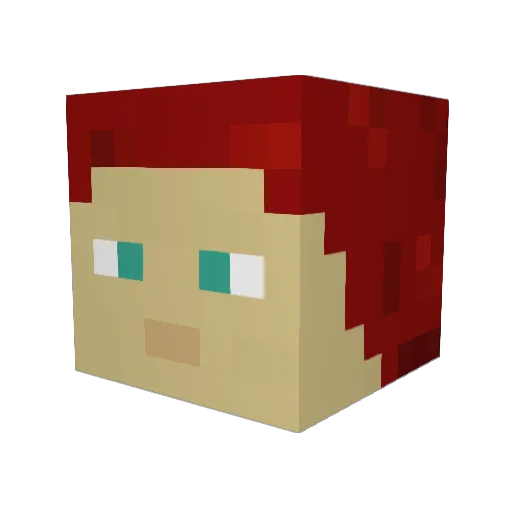 WackoWizard Minecraft avatar head, 3D render
