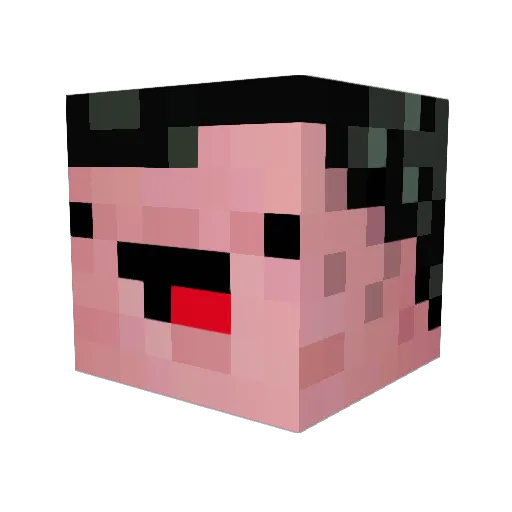 WackyB0I Minecraft avatar head, 3D render
