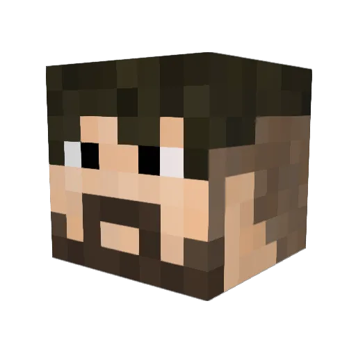 WackyKid Minecraft avatar head, 3D render