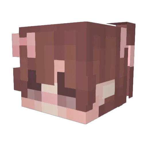 WackySpartan Minecraft avatar head, 3D render