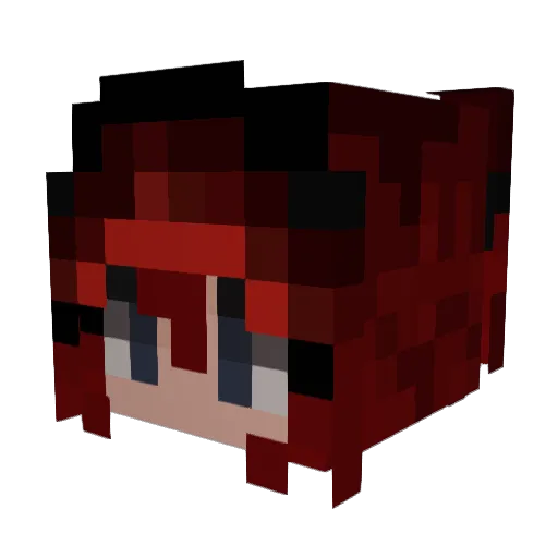 Wacky_Bubble Minecraft avatar head, 3D render