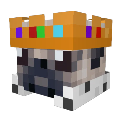Wacky_Zachy Minecraft avatar head, 3D render