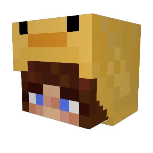 WaddleDuckWaddle Minecraft avatar head, 3D render