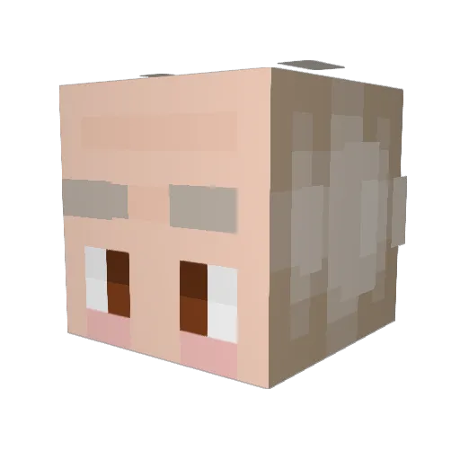 Waddles1024 Minecraft avatar head, 3D render