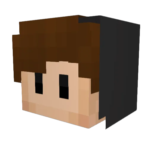 Waddles11 Minecraft avatar head, 3D render