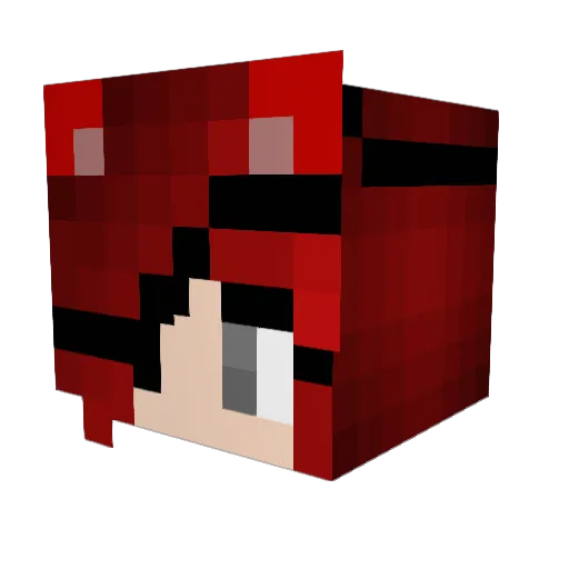 Waddles21 Minecraft avatar head, 3D render