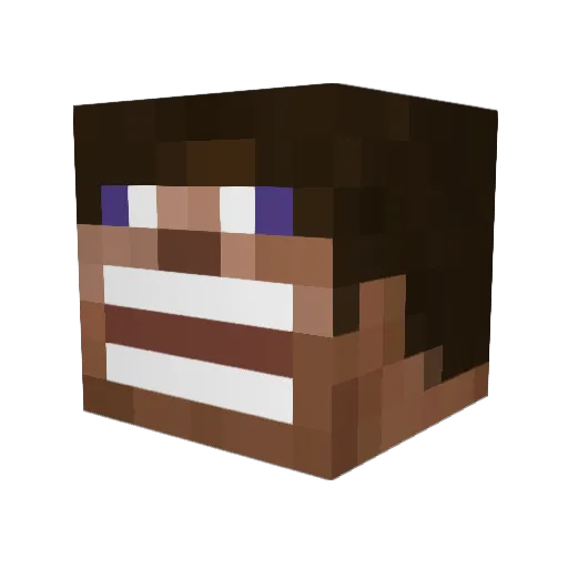 Wade225 Minecraft avatar head, 3D render