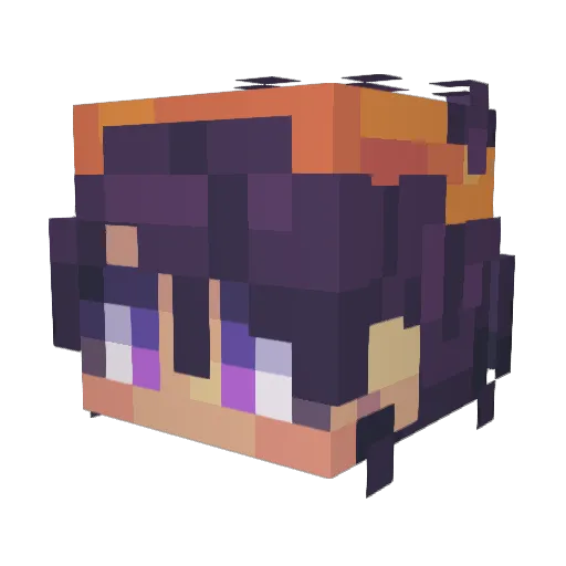 WadeRRR Minecraft avatar head, 3D render