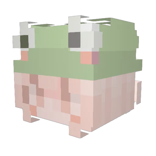 Wadfan Minecraft avatar head, 3D render