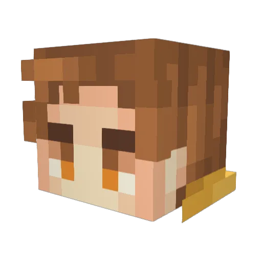Wadsalt Minecraft avatar head, 3D render