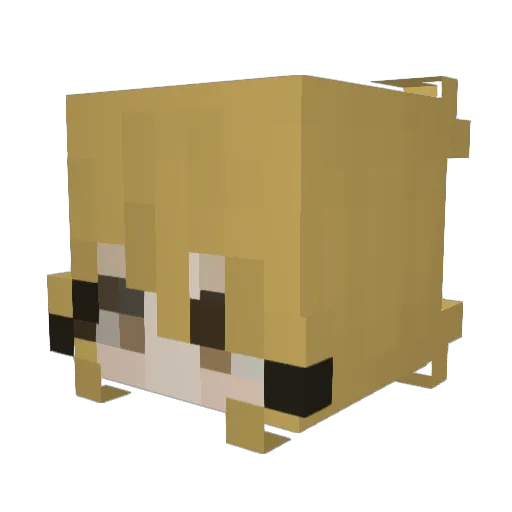 WaeWae3113 Minecraft avatar head, 3D render