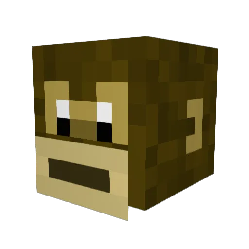 Waenix Minecraft avatar head, 3D render
