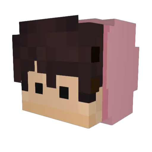 WafCasWale Minecraft avatar head, 3D render