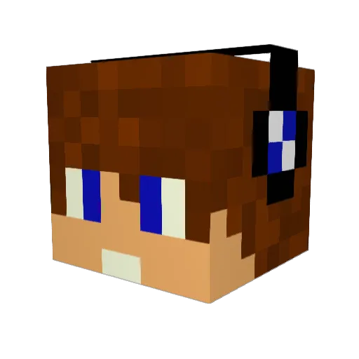 Wafam Minecraft avatar head, 3D render