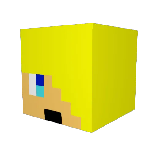 Wafel999 Minecraft avatar head, 3D render
