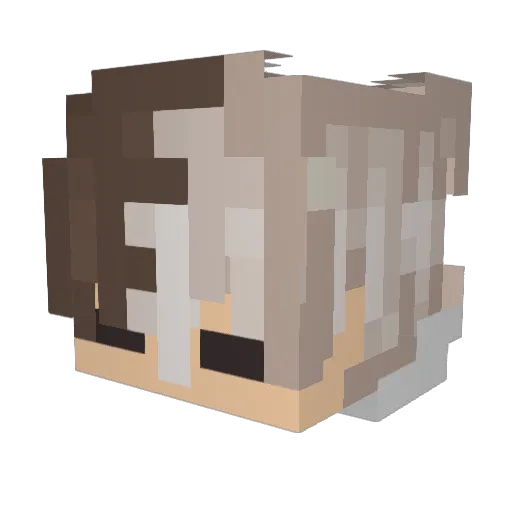 Wafeleek88 Minecraft avatar head, 3D render