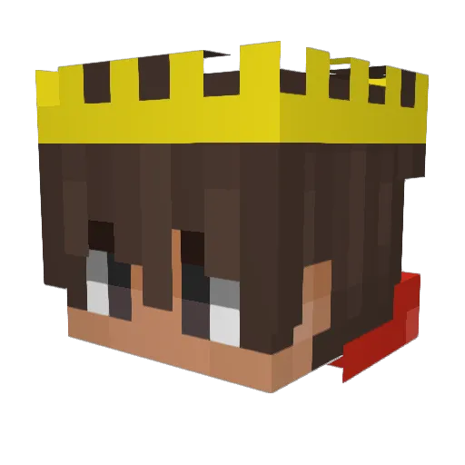 Wafelek0 Minecraft avatar head, 3D render