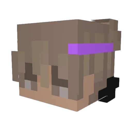 Waff1e124 Minecraft avatar head, 3D render