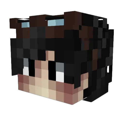 Waff1es41 Minecraft avatar head, 3D render